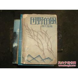 田野的風 蔣光慈文藝創(chuàng)作中的革命抒情與鄉(xiāng)土敘事